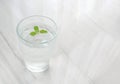 Cold drinking water with fresh mint in glass on white mable table Royalty Free Stock Photo