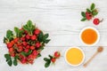 Rosehip Fruit Cold and Flu Remedy Royalty Free Stock Photo