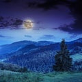 Cold fog on deep midnight in mountains Royalty Free Stock Photo
