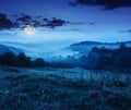Cold fog in mountains on forest at night Royalty Free Stock Photo