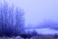 Cold Foggey Winter Morning Landscape With Frozen Lake Royalty Free Stock Photo