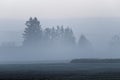 Cold and foggy mystic countryside, winter season nature background