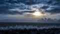 Cold foggy landscape, field in the sunrise. Frosty grass