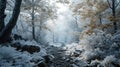 A cold freezing path through a dense forest