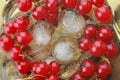 Cold fresh dessert red currant berry with an ice