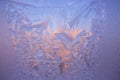 Cold frost patterns on glass Royalty Free Stock Photo