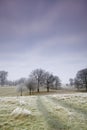 Cold frosty day landscape