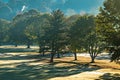 cold frosty early morning on golf course in the mountains