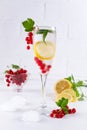 Cold Fruit Infused Detox Water with lemon, berries, mint and ice. refreshing drink Royalty Free Stock Photo