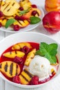 Cold fruit soup with raspberry, grilled nectarines, ice cream, vertical Royalty Free Stock Photo