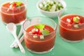 Cold gazpacho soup in glass and ingredients