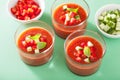 Cold gazpacho soup in glasses and ingredients