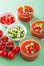 Cold gazpacho tomato soup in glasses Royalty Free Stock Photo