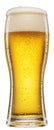 Cold glass of beer with white foam and gas bubbles inside. File contains clipping path