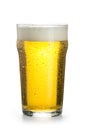 Light cold beer in a nonic-pint glass with foam, bubbles and condensation droplets isolated on a white background. Royalty Free Stock Photo