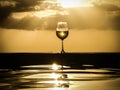 Cold glass of white wine Royalty Free Stock Photo