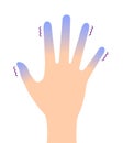 Cold hand blood circulation illustration sensitivity to cold, cold fingertips