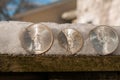 Cold hard cash - silver coins on a fence Royalty Free Stock Photo