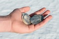 Cold hard cash - silver coins in hand Royalty Free Stock Photo