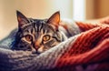 Cold House Comfort Curious Gray Cat - Generative AI