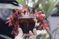 Cold ice black coffee with ice in a glass. Japanese coffee style