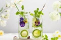 Cold Infused detox water with edible flowers,lime and mint leaves. Refreshing summer drink