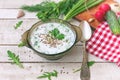 Cold kefir soup in glass bowl with spicy herbs, cucumber, radish
