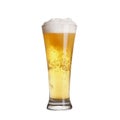 Cold lager beer in glass Royalty Free Stock Photo