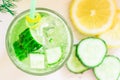 Cold lemonade with ice of fresh cucumber and lemon Royalty Free Stock Photo