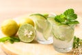 Cold lime soda, Tropical summer drink Royalty Free Stock Photo