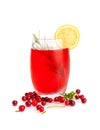 Cold Lingonberry Drink, Iced Cowberry Tea, Refreshing Cranberry Cocktail, Berry Mors, Red Berries Juice