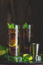 Cold Longdrink Cuba Libre with brown rum and fresh lime Royalty Free Stock Photo