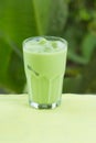 Cold Matcha green Tea Royalty Free Stock Photo