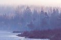 Cold morning in the forest with lake. The pine forest in the valley in the foggy morning Fresh atmosphere of woodland Royalty Free Stock Photo