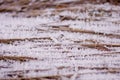 Cold morning outdoors in winter with frozen ice cubes of snow on dry yellow grass