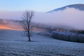 Cold morning in Sumava National park, hills and villages in the fog and rime, misty view on czech landscape, blue winter scene, Royalty Free Stock Photo