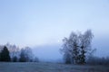 Cold morning in Sumava National park, hills and villages in the fog and rime, misty view on czech landscape, blue winter scene, Royalty Free Stock Photo