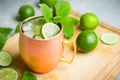 Cold Moscow Mule cocktail in copper mug on the rustic background Royalty Free Stock Photo