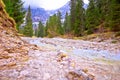 Cold mountain creek in Alps view