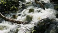 Cold mountain river with raging stream. View of the raging river in the forest Royalty Free Stock Photo