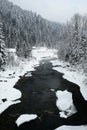 Cold mountain river and snow covered pine trees in winter season in the mountains Royalty Free Stock Photo