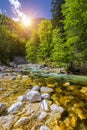 Cold mountain stream coming from Savica waterfall, river Sava near lake Bohinj, Slovenian Alps, Slovenia. The Sava Bohinjka is a
