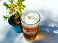 Cold Mythos beer in glass mug Royalty Free Stock Photo