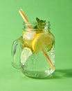 Cold natural lemonade handmade sparkling with ice, slices of lime and lemon, leaf of mint with plastic straws on a green Royalty Free Stock Photo