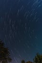 Star Trails In Melbourne Garden In Midnight Time