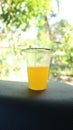 Cold orange iced plastic cup drink that is very fresh to drink Royalty Free Stock Photo