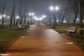 The cold park in the night