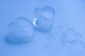 Cold passion - ice hearts Royalty Free Stock Photo