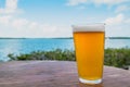 Cold pint of craft beer with a tropical background Royalty Free Stock Photo