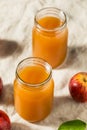 Cold Refreshing Apple Cider Juice Royalty Free Stock Photo